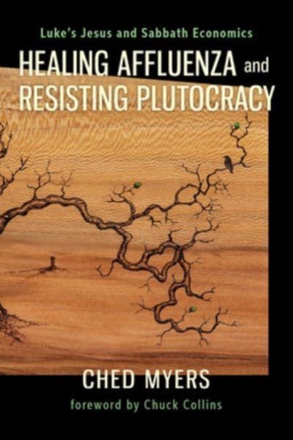 Healing Affluenza and Resisting Plutocracy - Luke's Jesus and Sabbath Economics