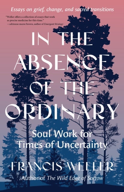 In the Absence of the Ordinary - Soul Work for Times of Uncertainty--Essays on grief, change, and sacred transitions