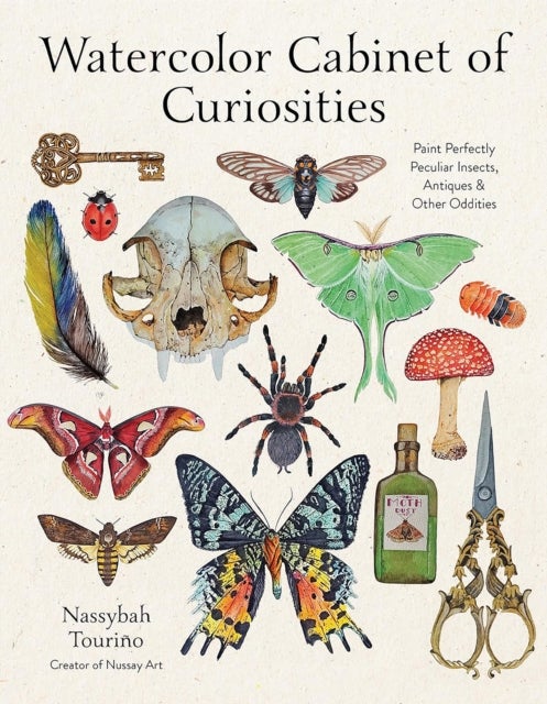 Watercolor Cabinet of Curiosities - Paint Perfectly Peculiar Insects, Antiques & Other Oddities