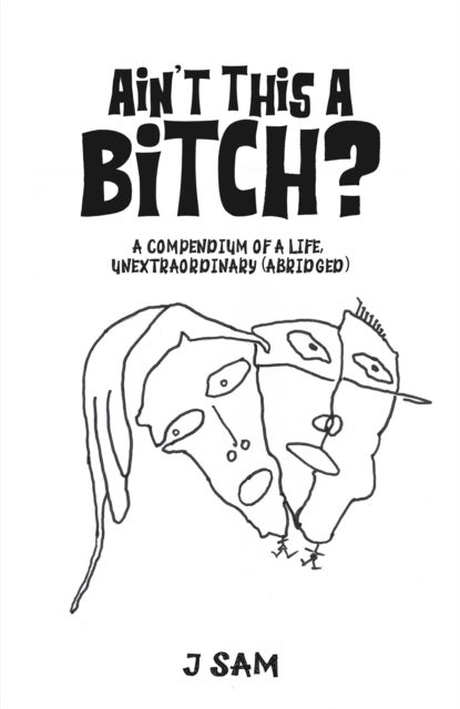 Ain't This a Bitch? - A Compendium of a Life, Unextraordinary (Abridged)