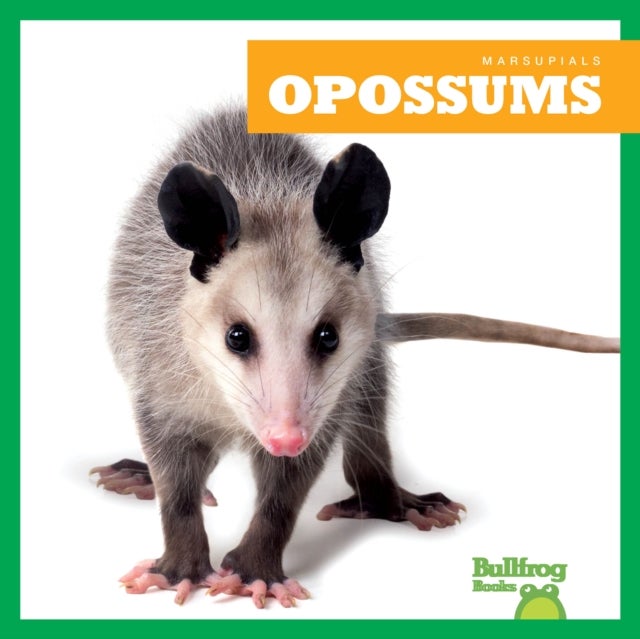 Opossums