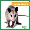 Opossums