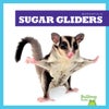 Sugar Gliders