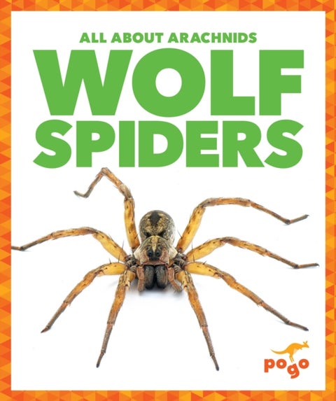 Wolf Spiders