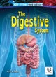 Digestive System