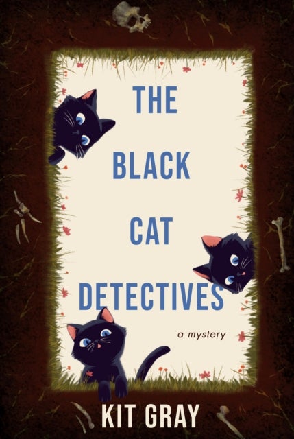 The Black Cat Detectives - A Mystery