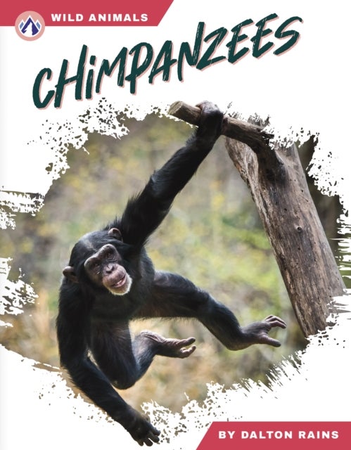 Chimpanzees