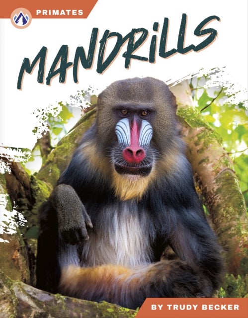 Mandrills