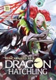 Reincarnated as a Dragon Hatchling (Light Novel) Vol. 11