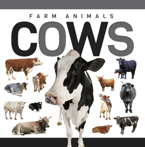 Cows