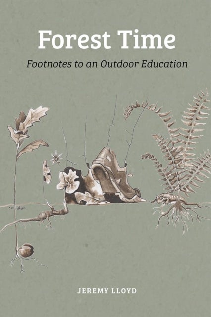 Forest Time - Footnotes to an Education Outdoors