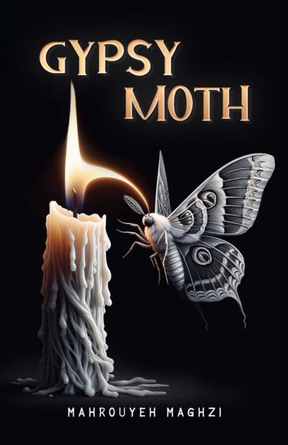 Gypsy Moth