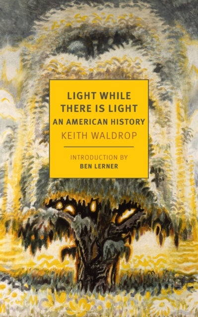 Light While There is Light - An American History