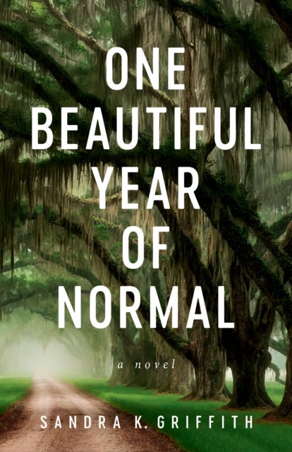 One Beautiful Year of Normal - A Novel