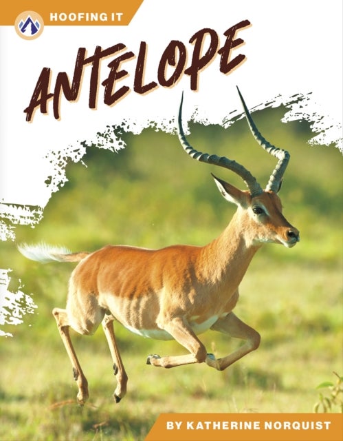Antelope