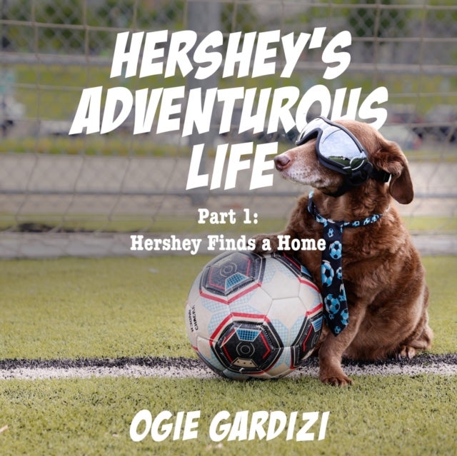 Hershey's Adventurous Life - Part 1: Hershey Finds a Home