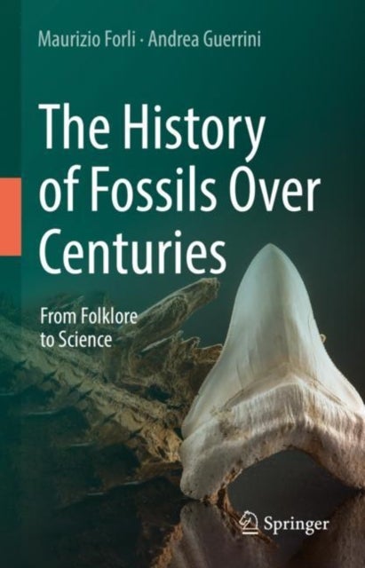 The History of Fossils Over Centuries - From Folklore to Science