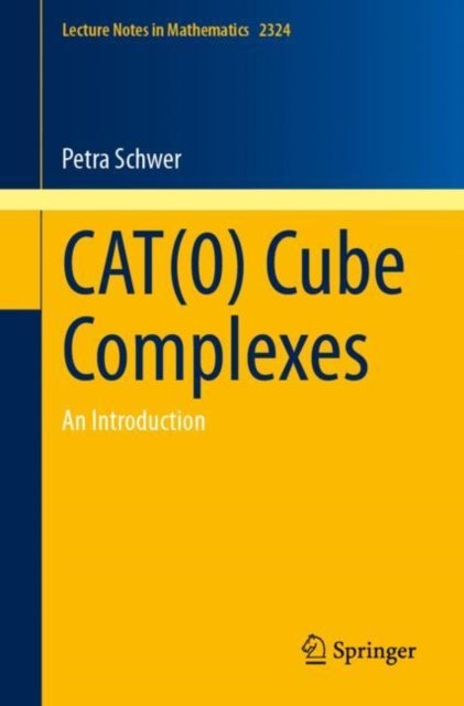 CAT(0) Cube Complexes - An Introduction