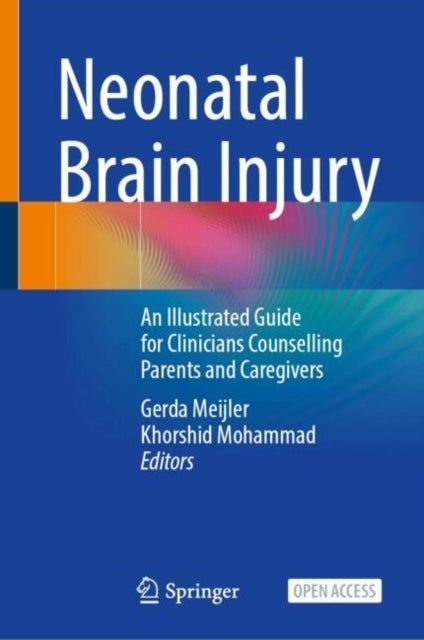 Neonatal Brain Injury - An Illustrated Guide for Clinicians Counselling Parents and Caregivers