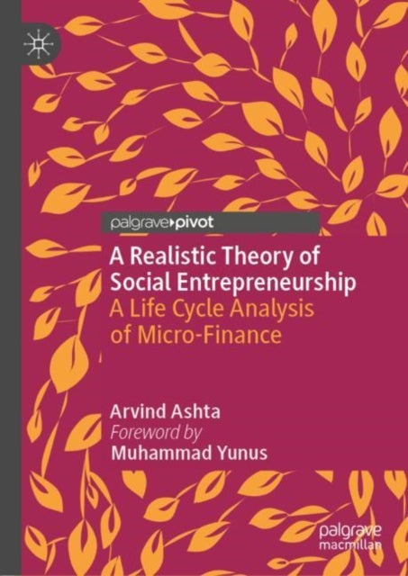 A Realistic Theory of Social Entrepreneurship - A Life Cycle Analysis of Micro-Finance