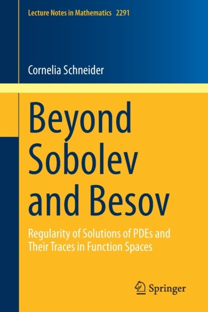 Beyond Sobolev and Besov - Regularity of Solutions of PDEs and Their Traces in Function Spaces