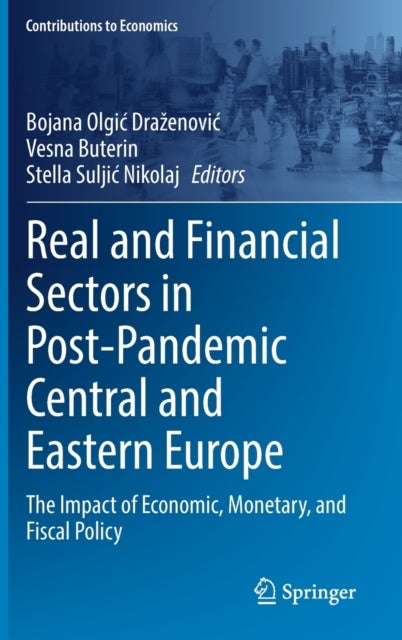Real and Financial Sectors in Post-Pandemic Central and Eastern Europe - The Impact of Economic, Monetary, and Fiscal Policy