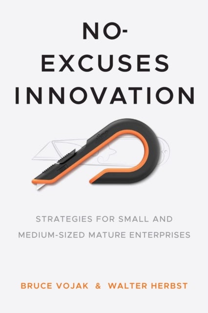 No-Excuses Innovation - Strategies for Small- and Medium-Sized Mature Enterprises