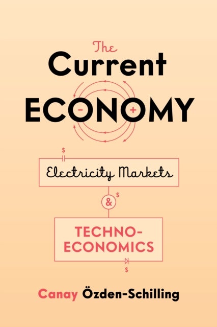 The Current Economy - Electricity Markets and Techno-Economics