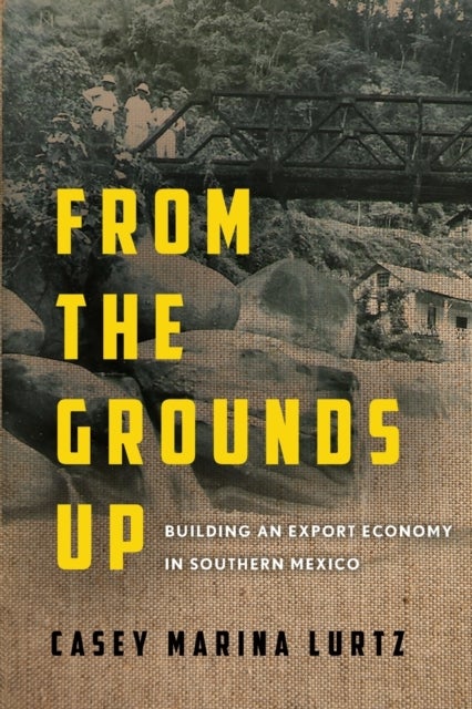 From the Grounds Up - Building an Export Economy in Southern Mexico