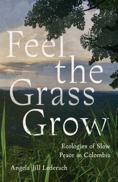 Feel the Grass Grow - Ecologies of Slow Peace in Colombia
