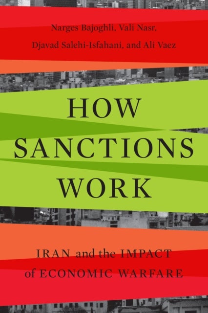How Sanctions Work - Iran and the Impact of Economic Warfare