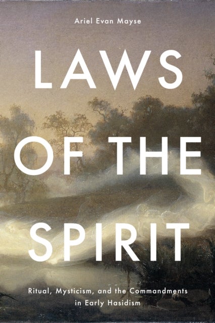 Laws of the Spirit - Ritual, Mysticism, Andthe Commandmentsin Early Hasidism