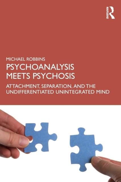 Psychoanalysis Meets Psychosis - Attachment, Separation, and the Undifferentiated Unintegrated Mind