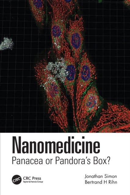 Nanomedicine - Panacea or Pandora's Box?