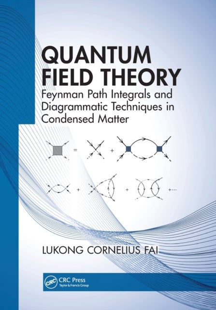 Quantum Field Theory - Feynman Path Integrals and Diagrammatic Techniques in Condensed Matter