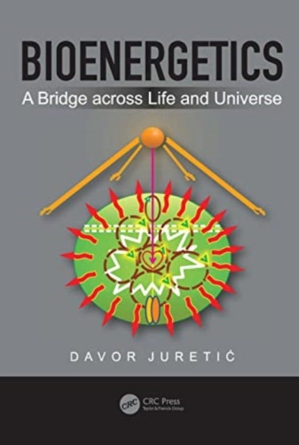Bioenergetics - A Bridge across Life and Universe