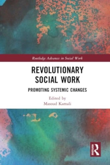 Revolutionary Social Work - Promoting Systemic Changes