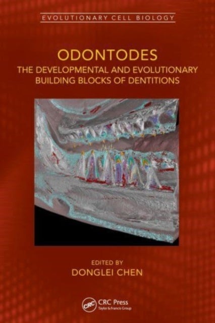 Odontodes - The Developmental and Evolutionary Building Blocks of Dentitions