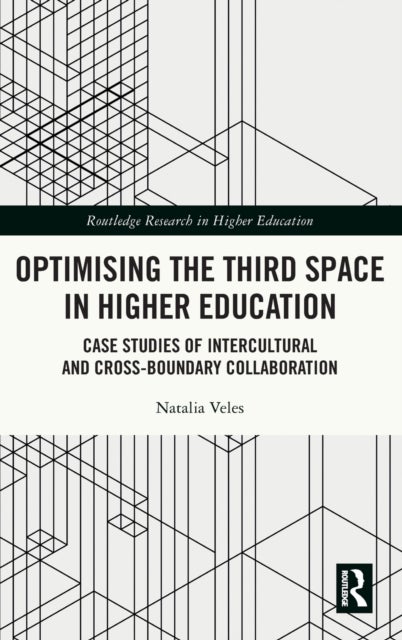 Optimising the Third Space in Higher Education - Case Studies of Intercultural and Cross-Boundary Collaboration
