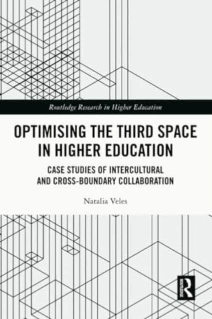 Optimising the Third Space in Higher Education - Case Studies of Intercultural and Cross-Boundary Collaboration