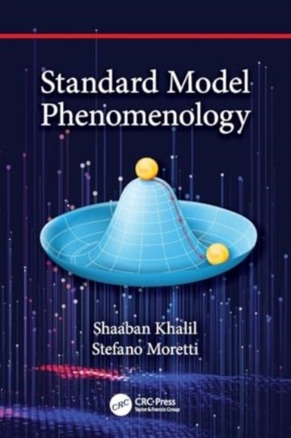 Standard Model Phenomenology