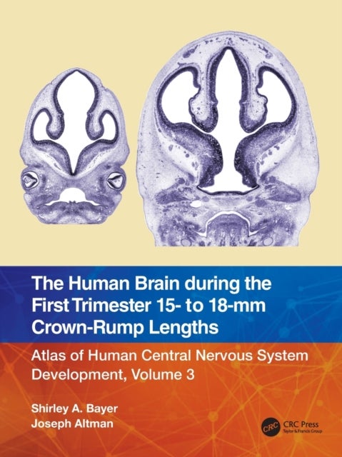 The Human Brain during the First Trimester 15- to 18-mm Crown-Rump Lengths - Atlas of Human Central Nervous System Development, Volume 3