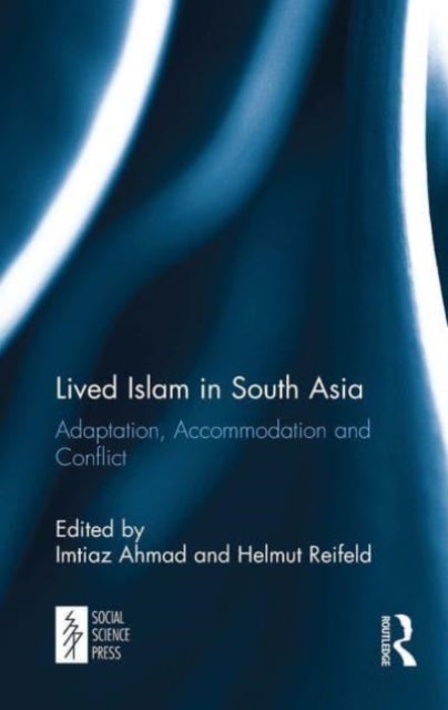 Lived Islam in South Asia - Adaptation, Accommodation and Conflict