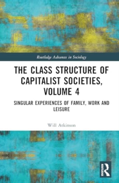 The Class Structure of Capitalist Societies, Volume 4 - Singular Experiences of Family, Work and Leisure