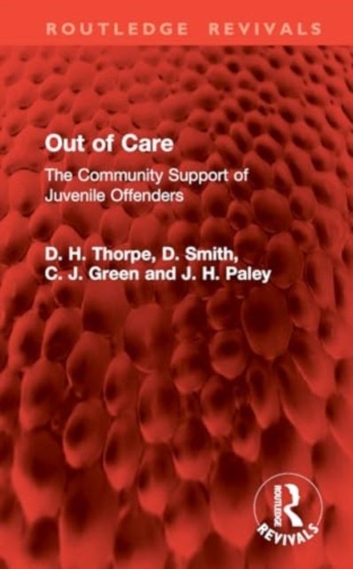 Out of Care - The Community Support of Juvenile Offenders