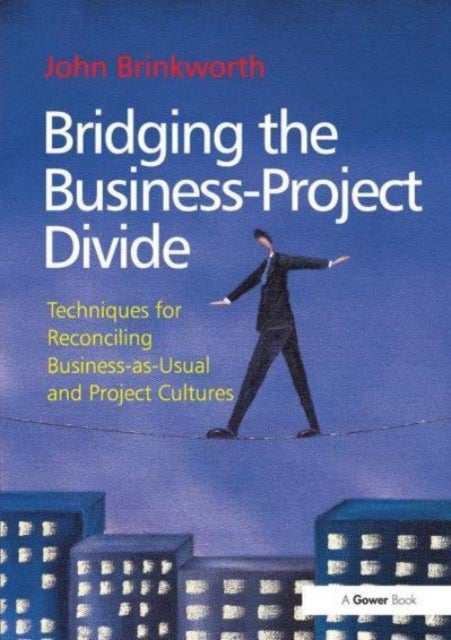 Bridging the Business-Project Divide - Techniques for Reconciling Business-as-Usual and Project Cultures