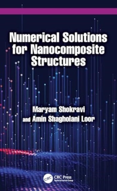 Numerical Solutions for Nanocomposite Structures