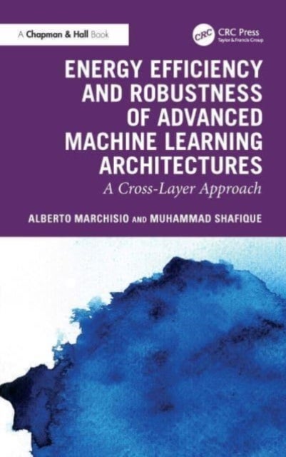 Energy Efficiency and Robustness of Advanced Machine Learning Architectures - A Cross-Layer Approach