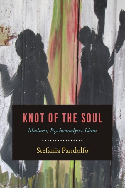 Knot of the Soul - Madness, Psychoanalysis, Islam