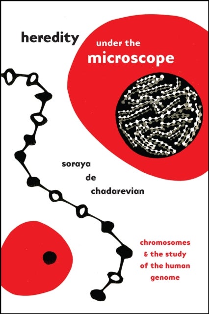 Heredity under the Microscope - Chromosomes and the Study of the Human Genome